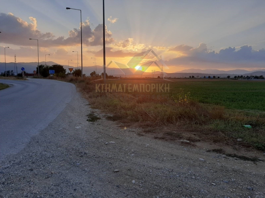(Προς Πώληση) Αξιοποιήσιμη Γη Αγροτεμάχιο || Ν. Κοζάνης/Πτολεμαϊδα - 5.500 τ.μ, 30.000 € 