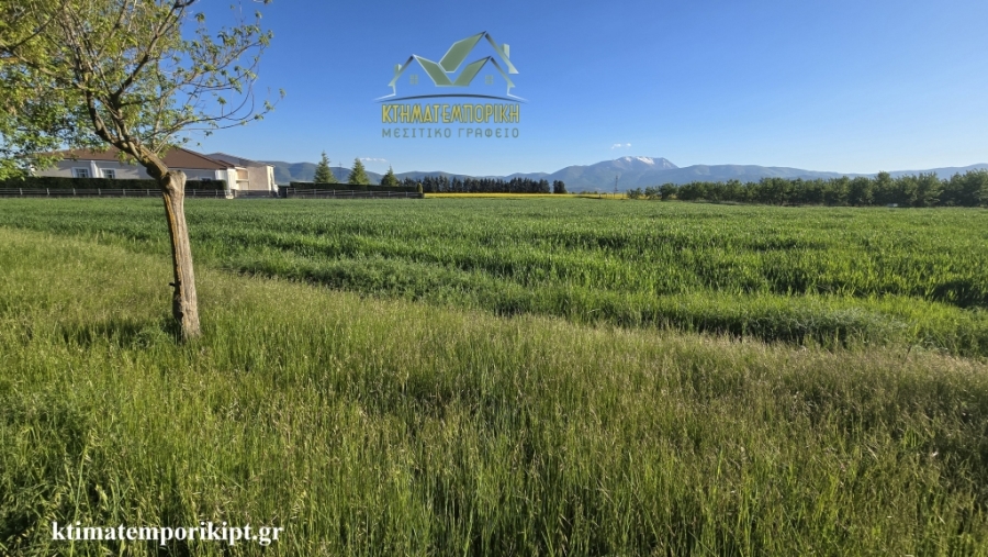 (For Sale) Land Agricultural Land  || Kozani/Ptolemaida - 4.746 Sq.m, 55.000€ 