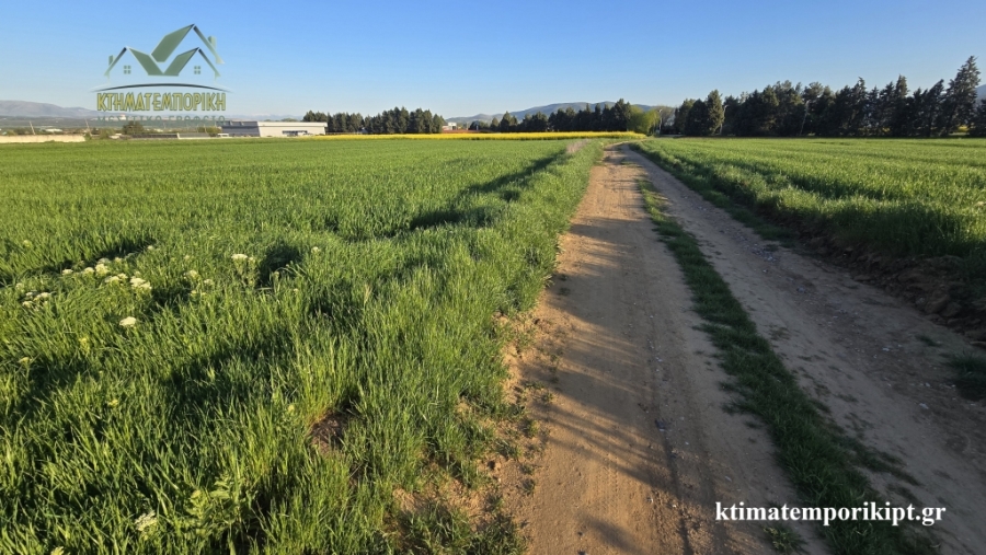 (For Sale) Land Agricultural Land  || Kozani/Ptolemaida - 4.851 Sq.m, 33.000€ 