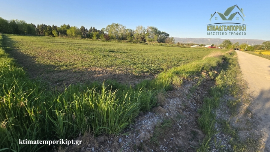 (For Sale) Land Agricultural Land  || Kozani/Ptolemaida - 6.075 Sq.m, 42.000€ 