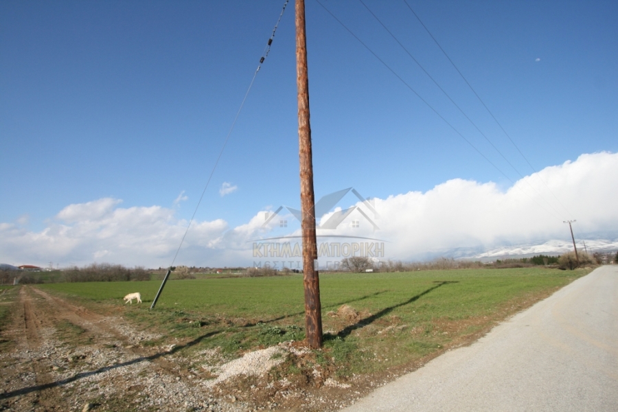 (For Sale) Land Agricultural Land  || Kozani/Ptolemaida - 5.464,00Sq.m, 45.000€ 