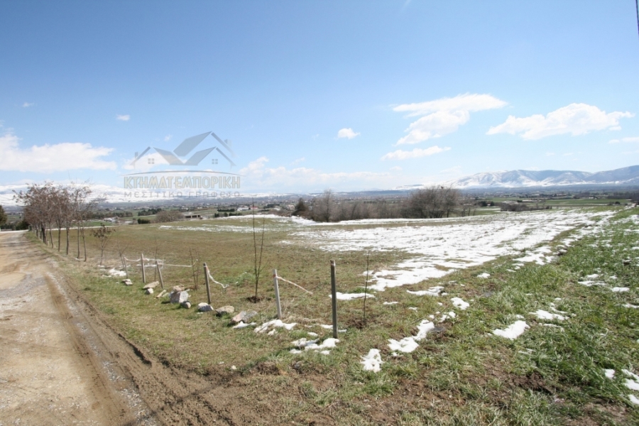 (For Sale) Land Agricultural Land  || Kozani/Ptolemaida - 5.231 Sq.m, 60.000€ 